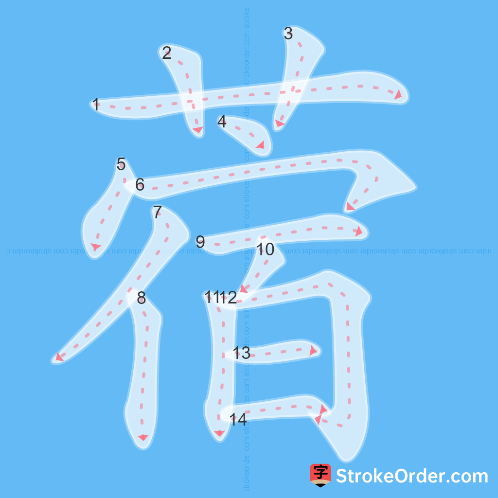 Standard stroke order for the Chinese character 蓿