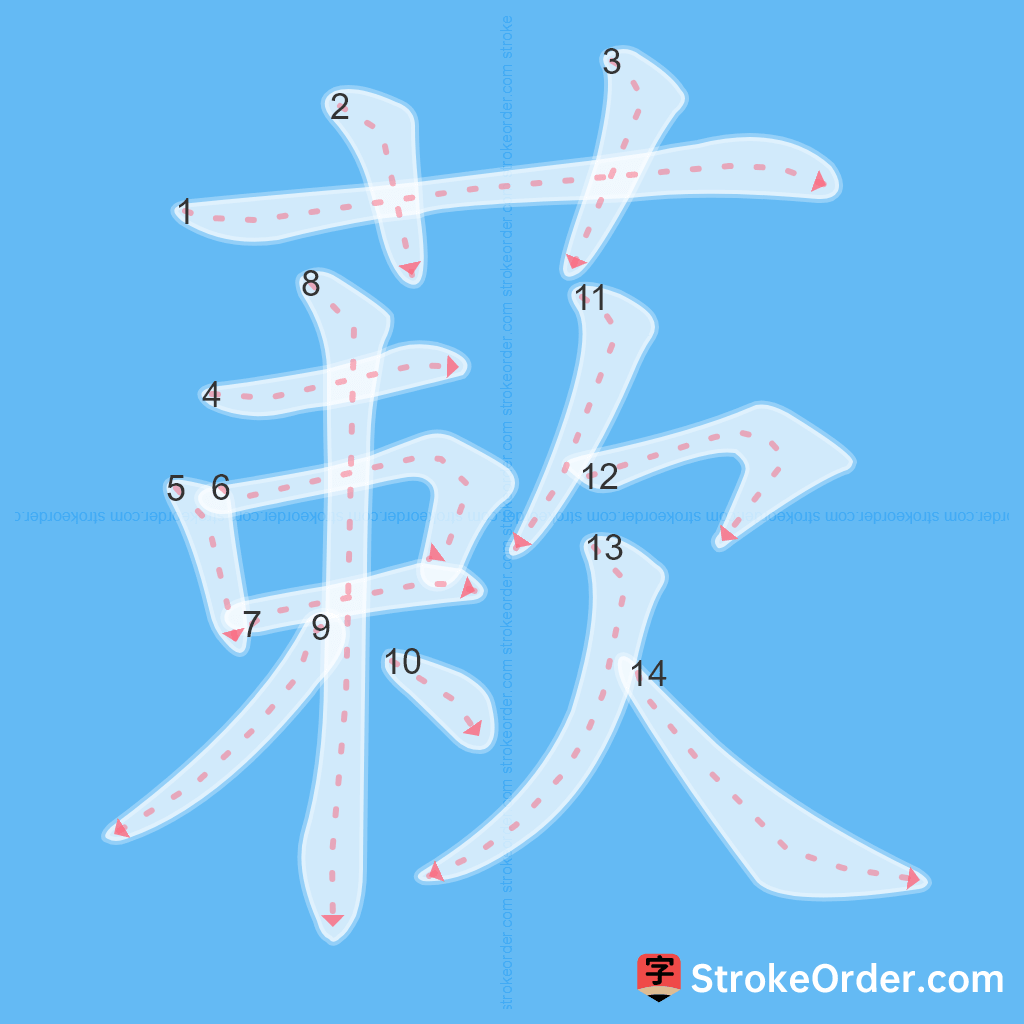 Standard stroke order for the Chinese character 蔌