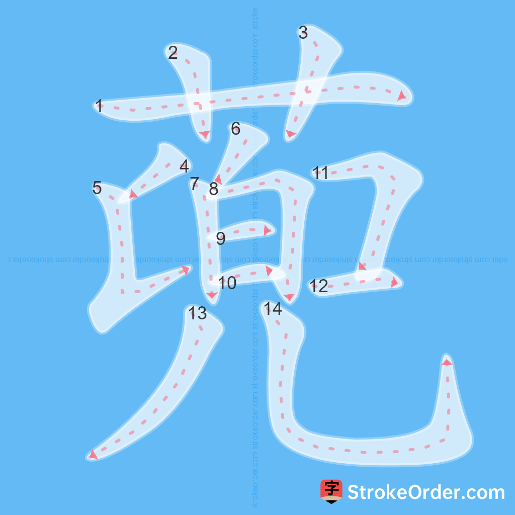 Standard stroke order for the Chinese character 蔸