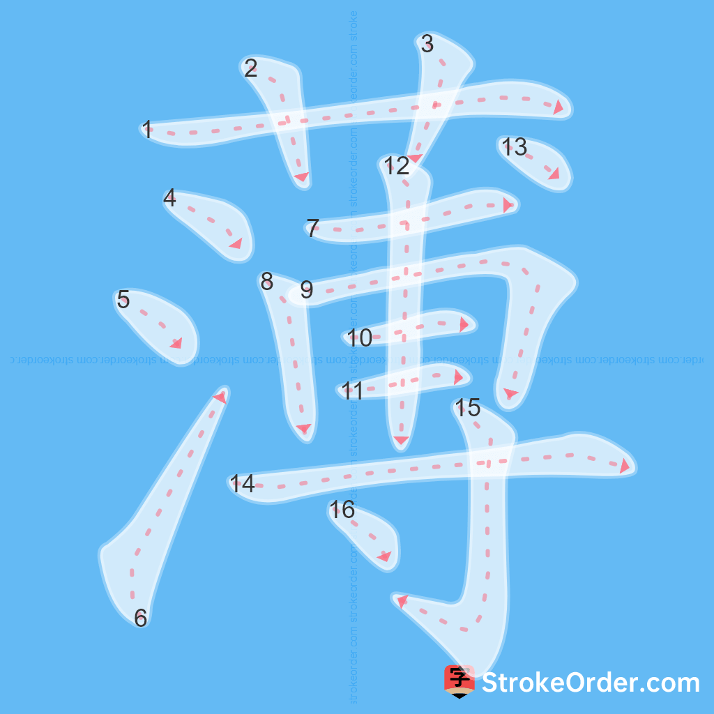 Standard stroke order for the Chinese character 薄