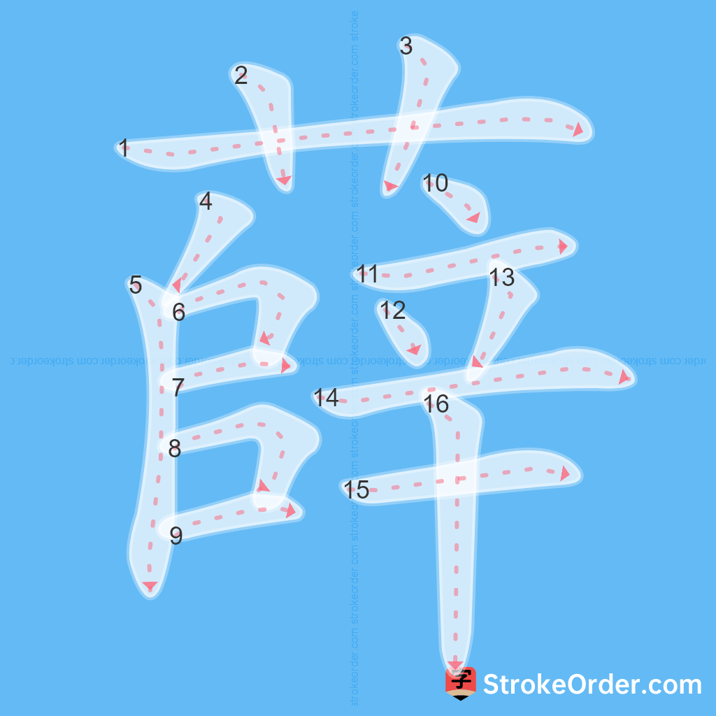 Standard stroke order for the Chinese character 薛