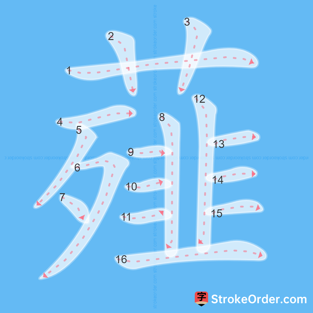 Standard stroke order for the Chinese character 薤