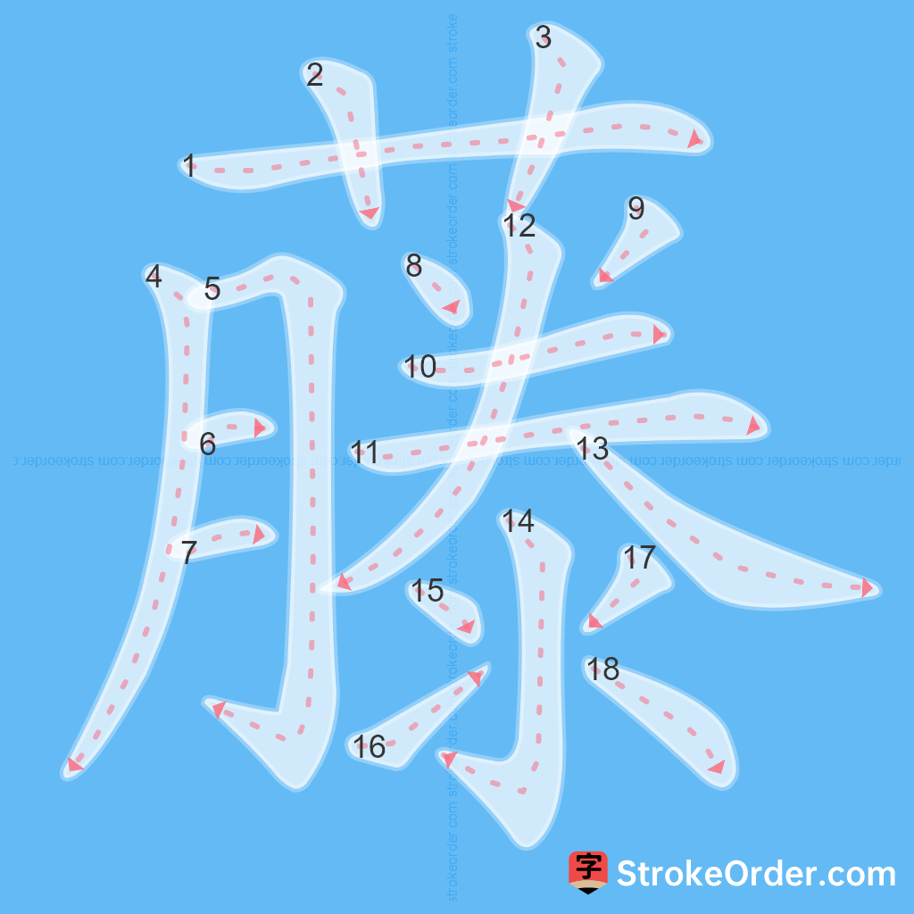 Standard stroke order for the Chinese character 藤