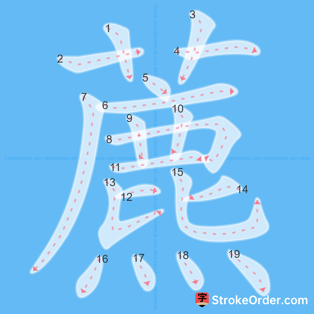 Standard stroke order for the Chinese character 藨