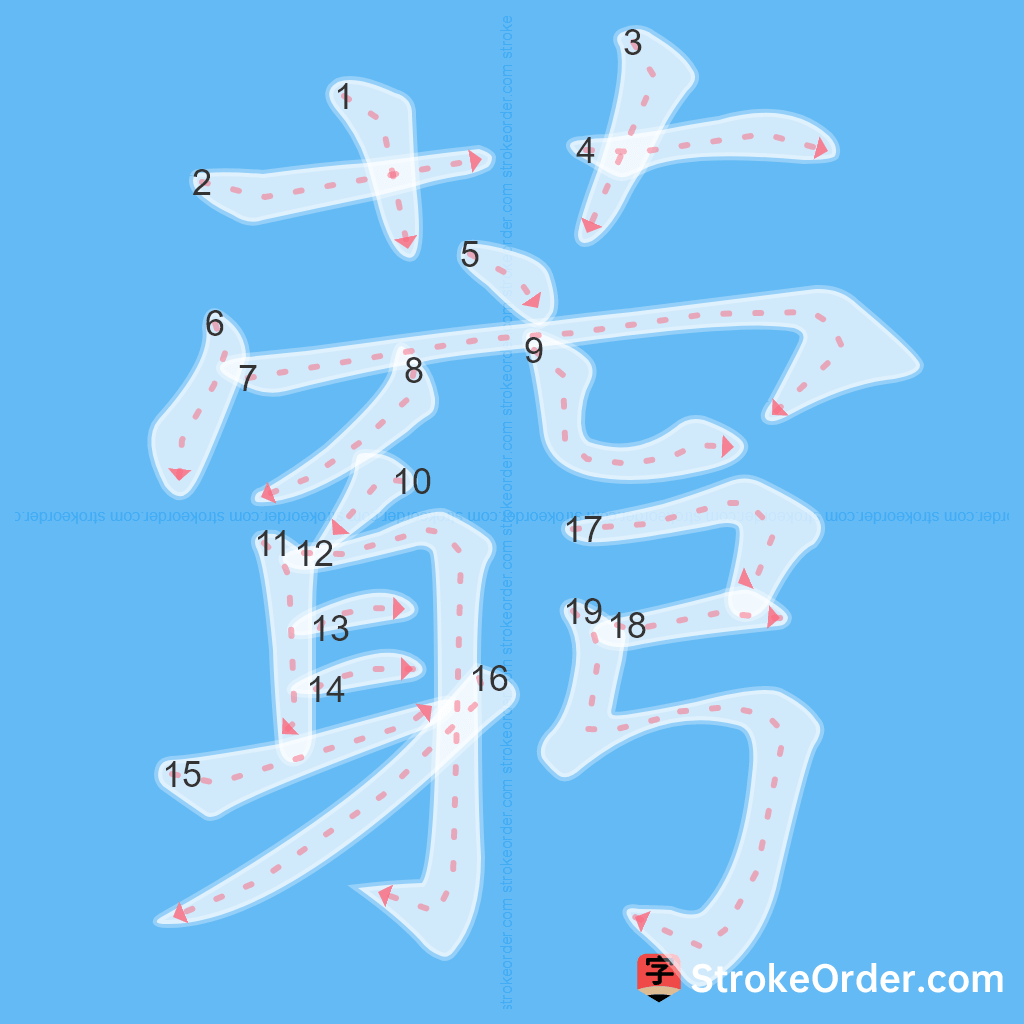 Standard stroke order for the Chinese character 藭