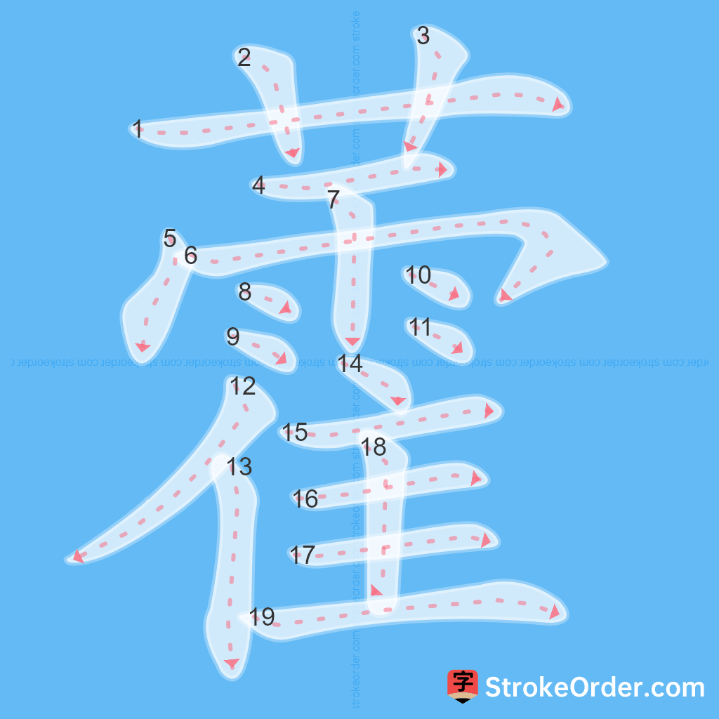 Standard stroke order for the Chinese character 藿