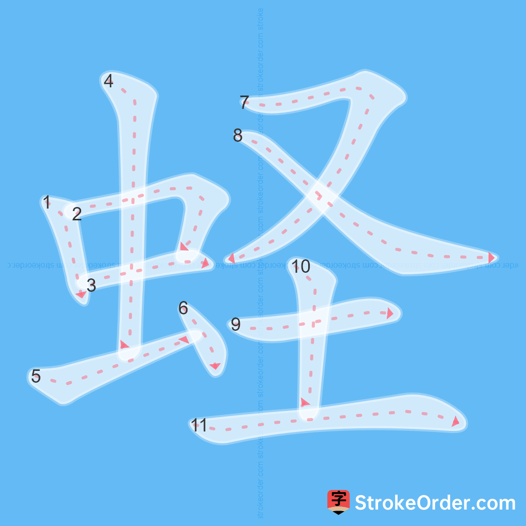 Standard stroke order for the Chinese character 蛏