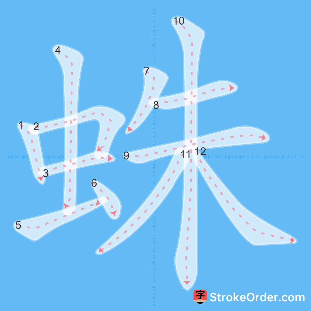 Standard stroke order for the Chinese character 蛛