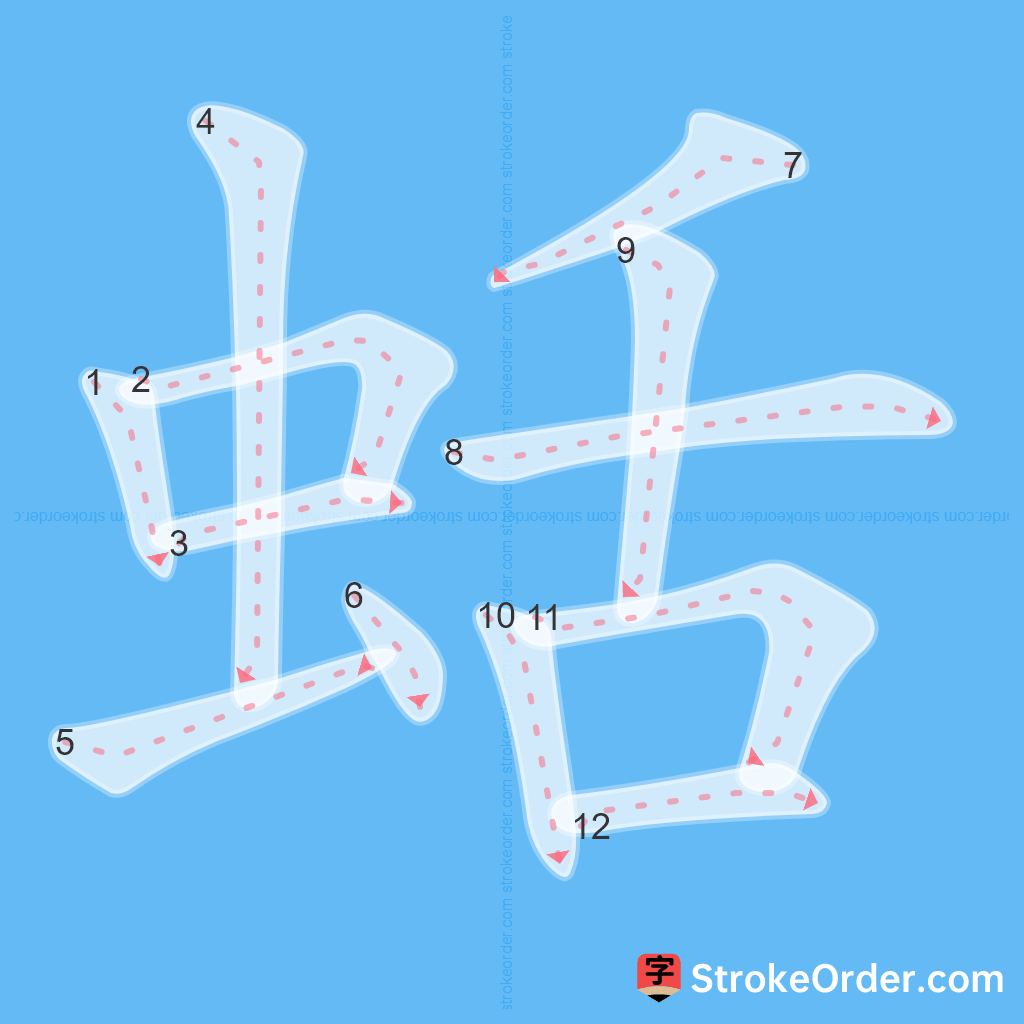 Standard stroke order for the Chinese character 蛞
