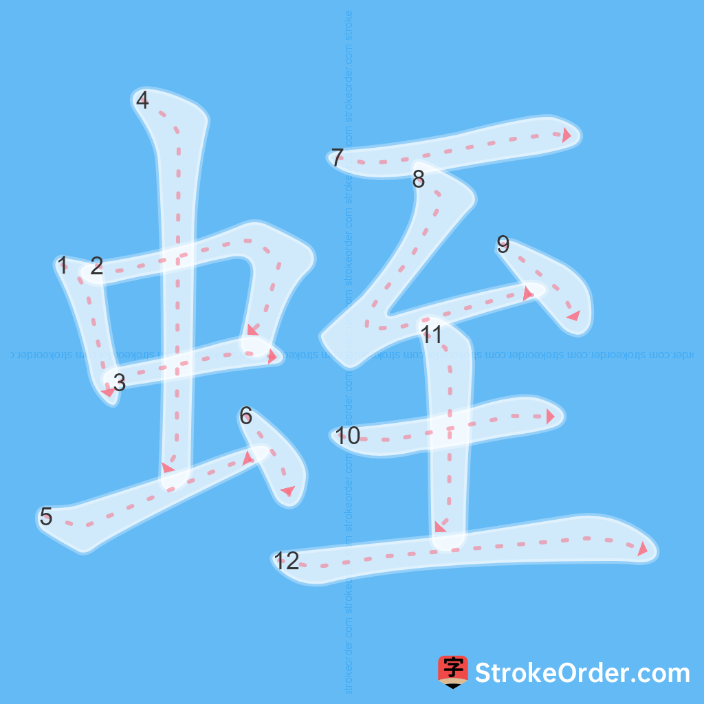 Standard stroke order for the Chinese character 蛭