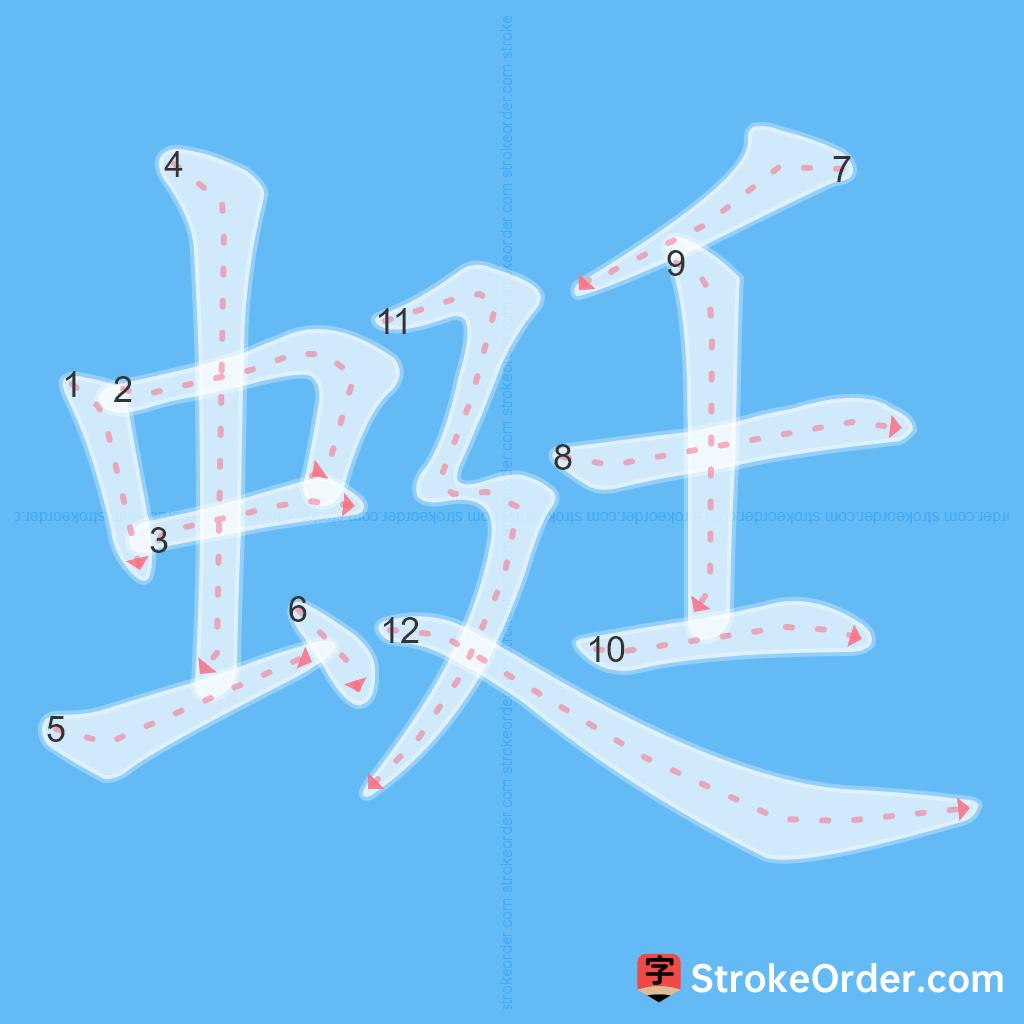 Standard stroke order for the Chinese character 蜓