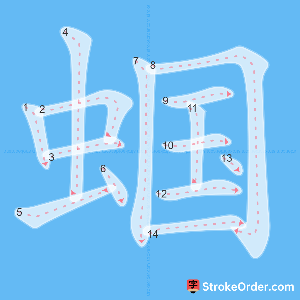 Standard stroke order for the Chinese character 蝈