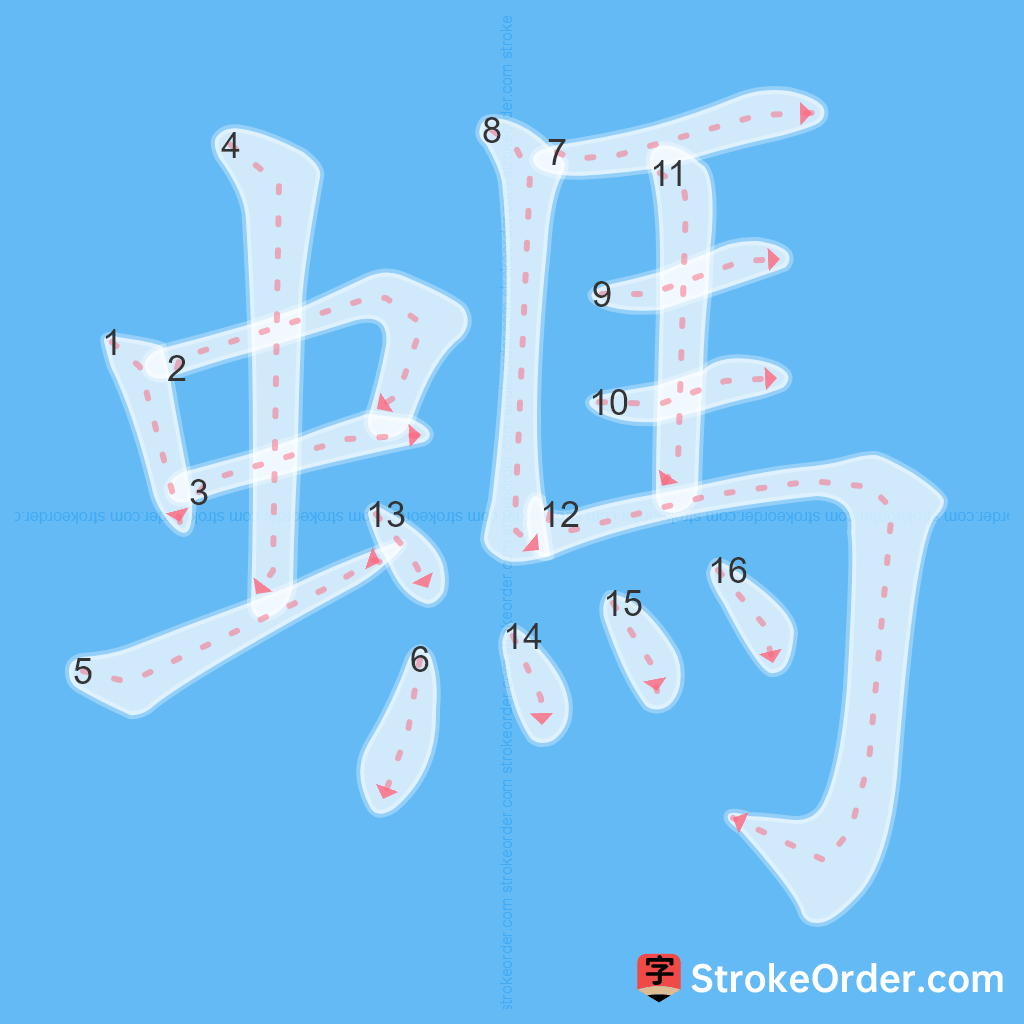 Standard stroke order for the Chinese character 螞
