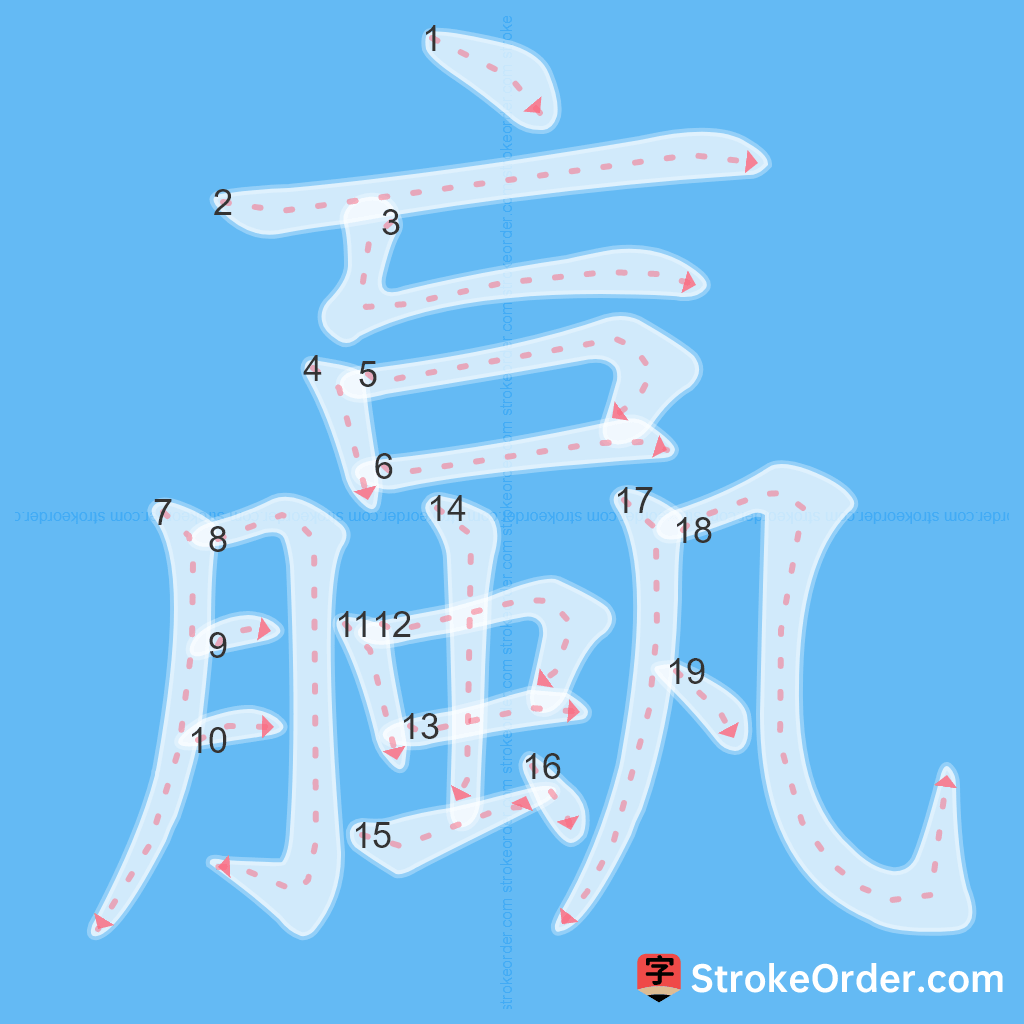 Standard stroke order for the Chinese character 蠃