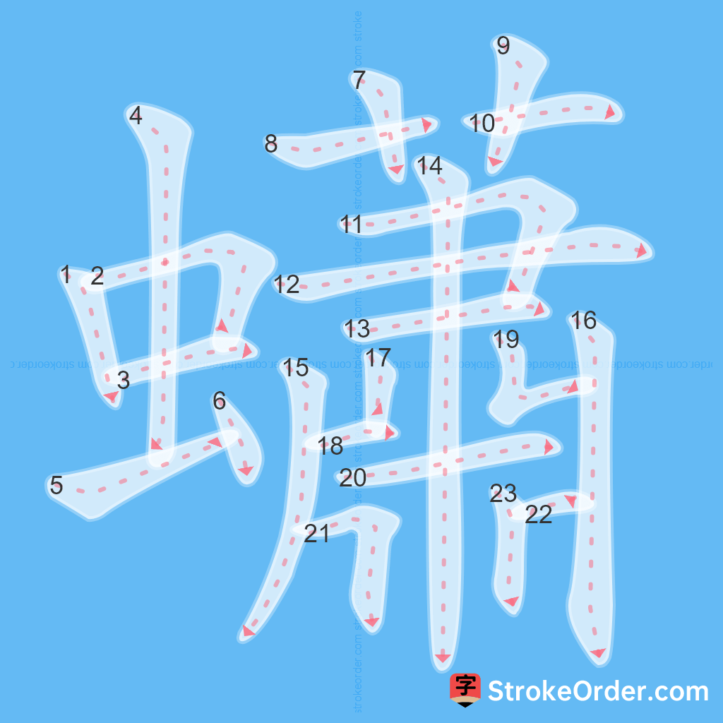 Standard stroke order for the Chinese character 蠨