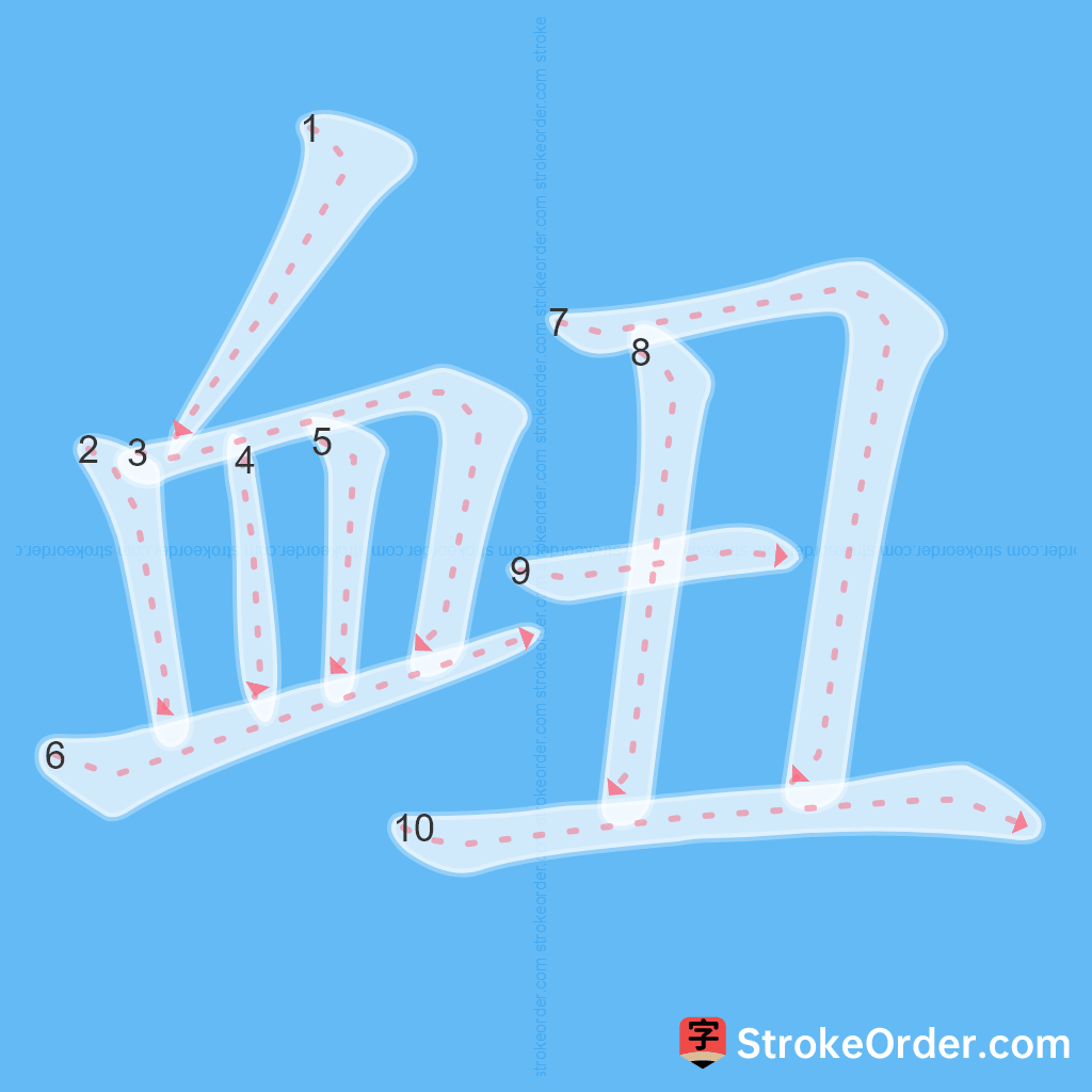 Standard stroke order for the Chinese character 衄