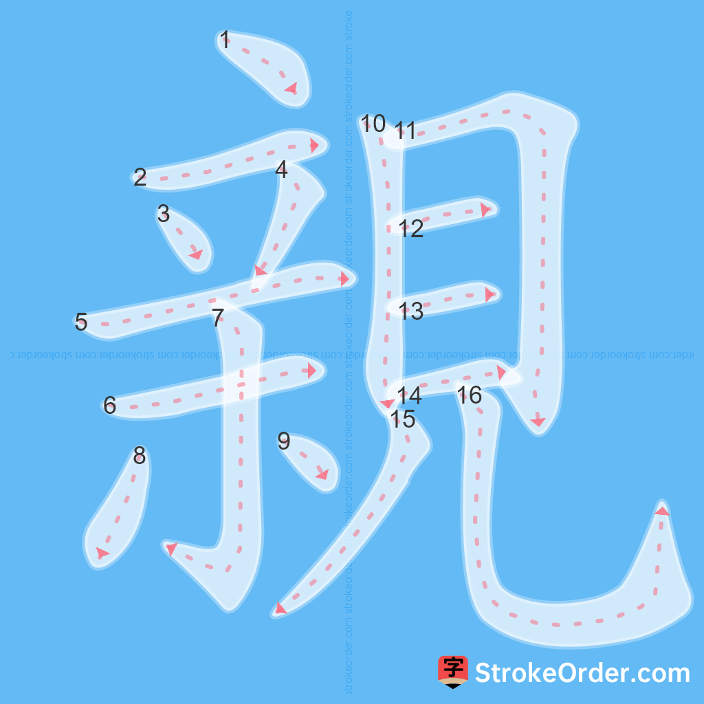Standard stroke order for the Chinese character 親