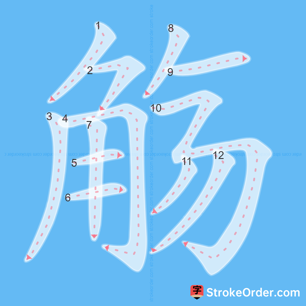 Standard stroke order for the Chinese character 觞
