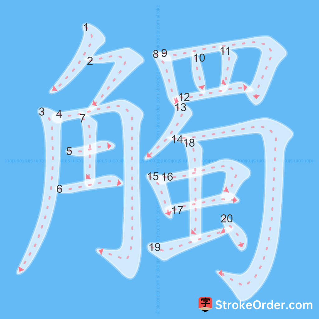 Standard stroke order for the Chinese character 觸