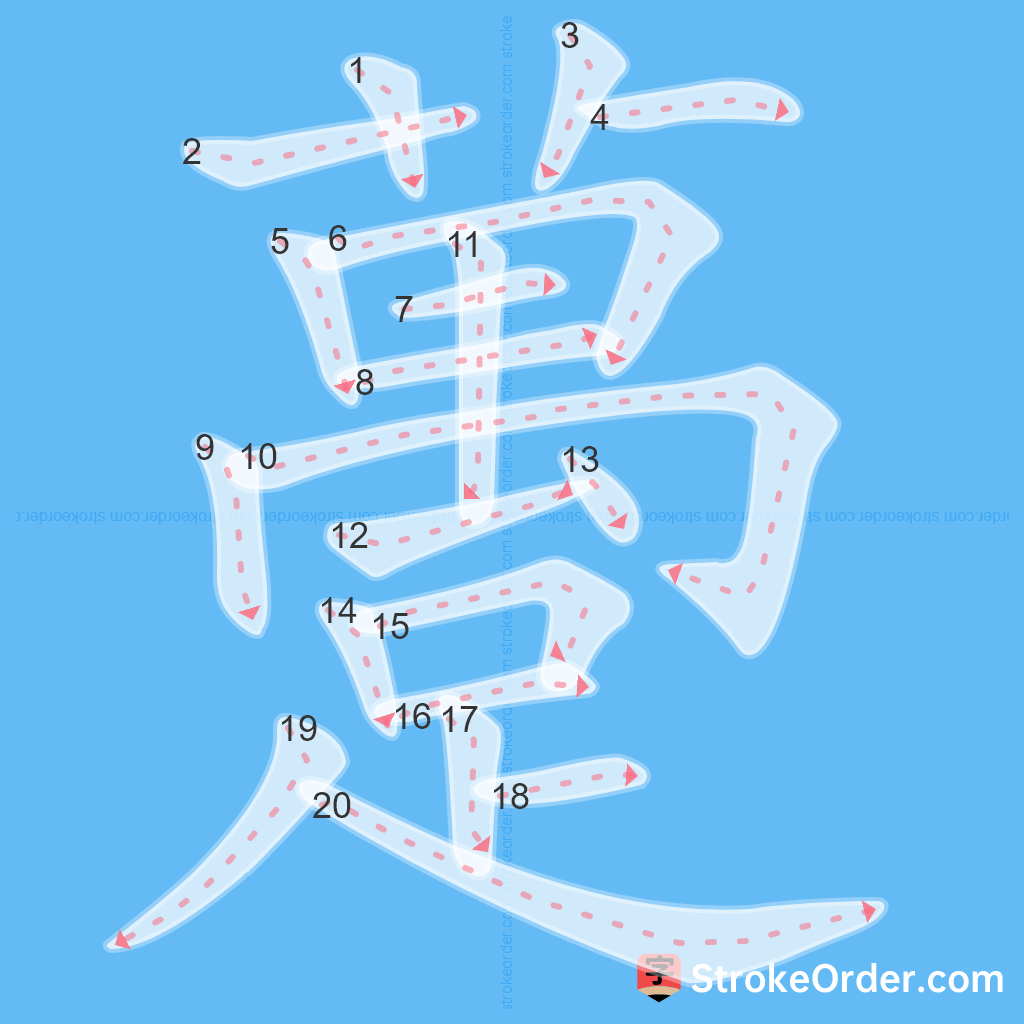 Standard stroke order for the Chinese character 躉