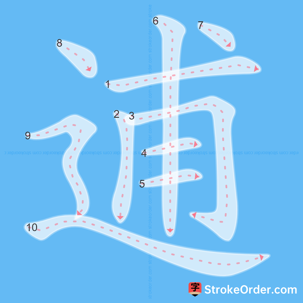 Standard stroke order for the Chinese character 逋