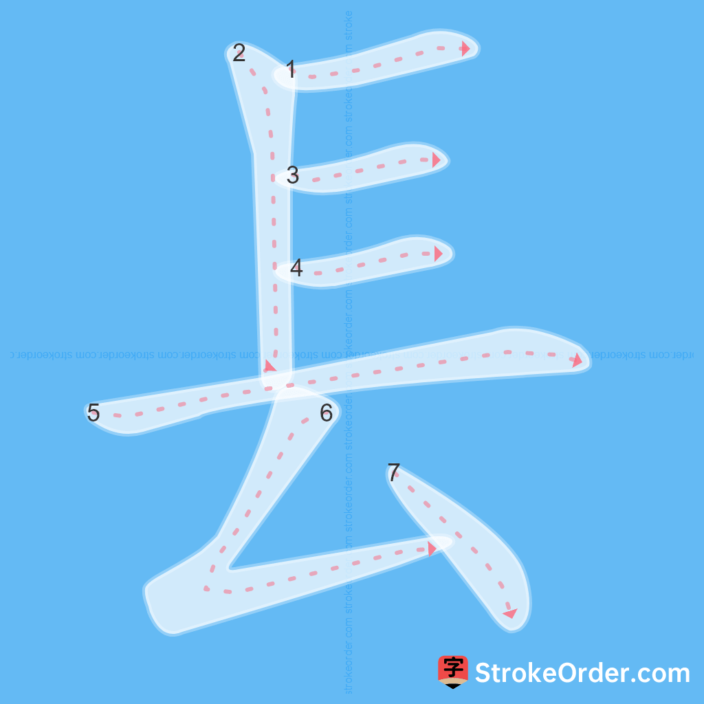 Standard stroke order for the Chinese character 镸