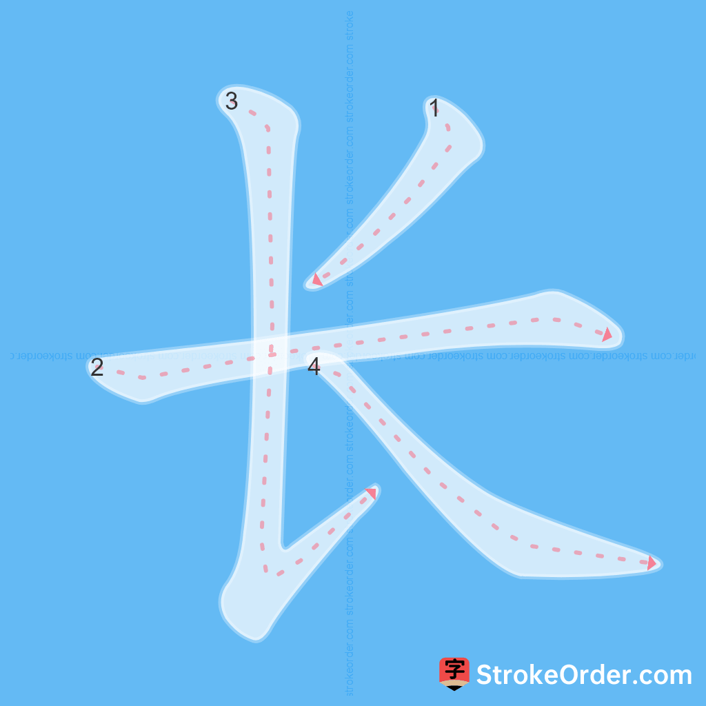 Standard stroke order for the Chinese character 长