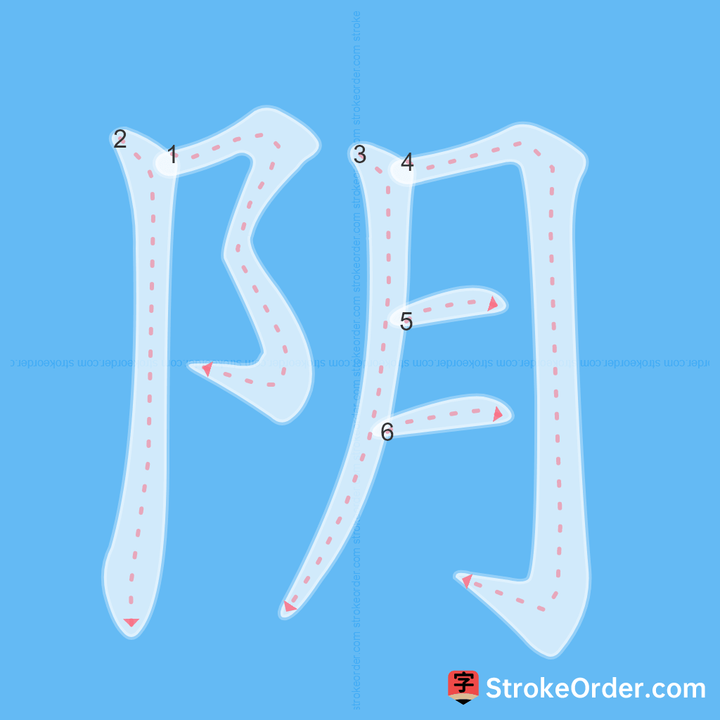Standard stroke order for the Chinese character 阴