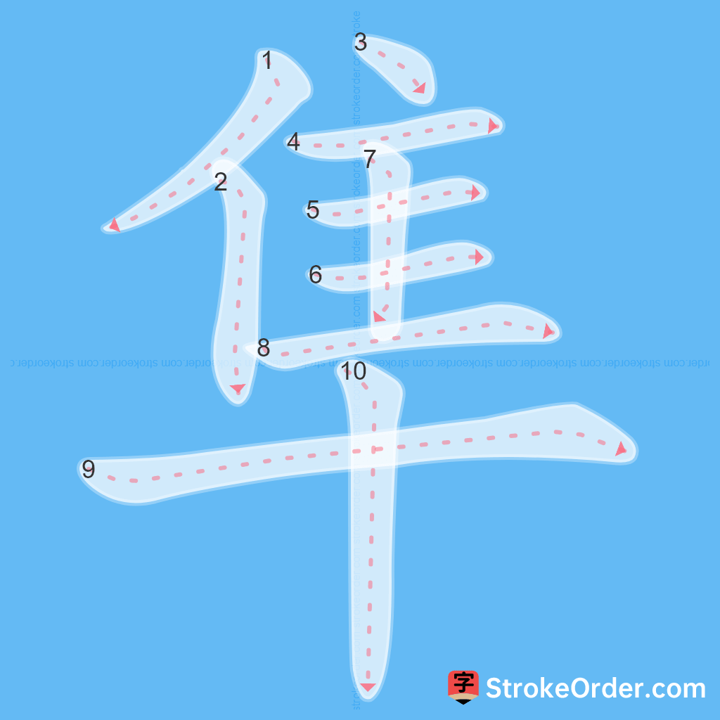Standard stroke order for the Chinese character 隼