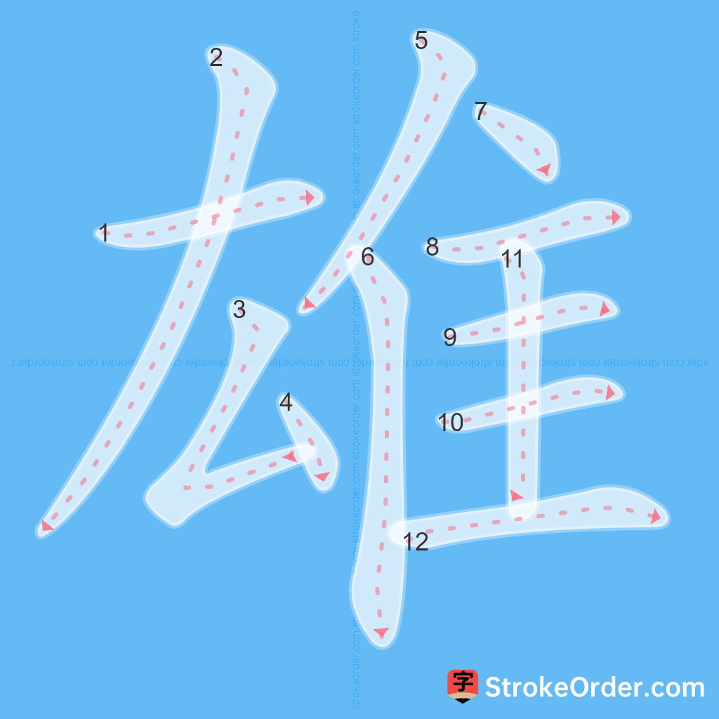 Standard stroke order for the Chinese character 雄