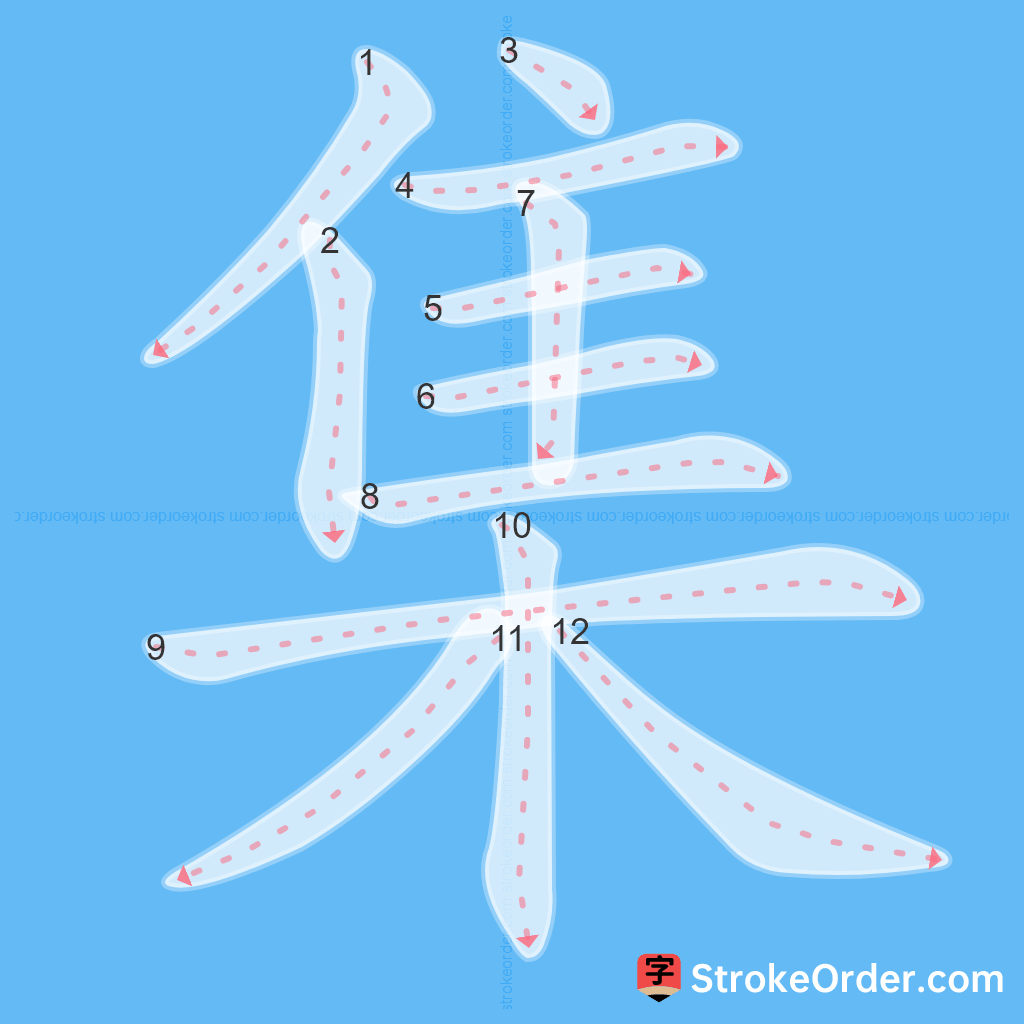 Standard stroke order for the Chinese character 集