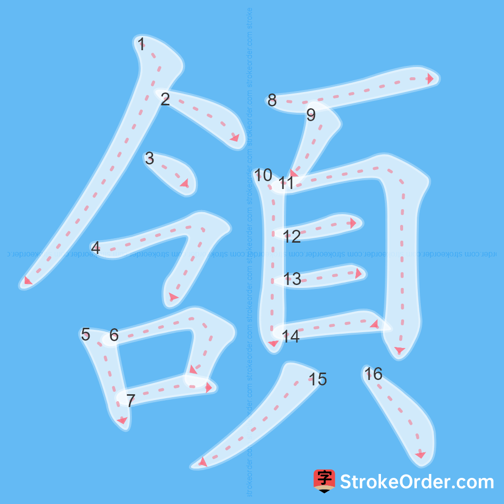 Standard stroke order for the Chinese character 頷