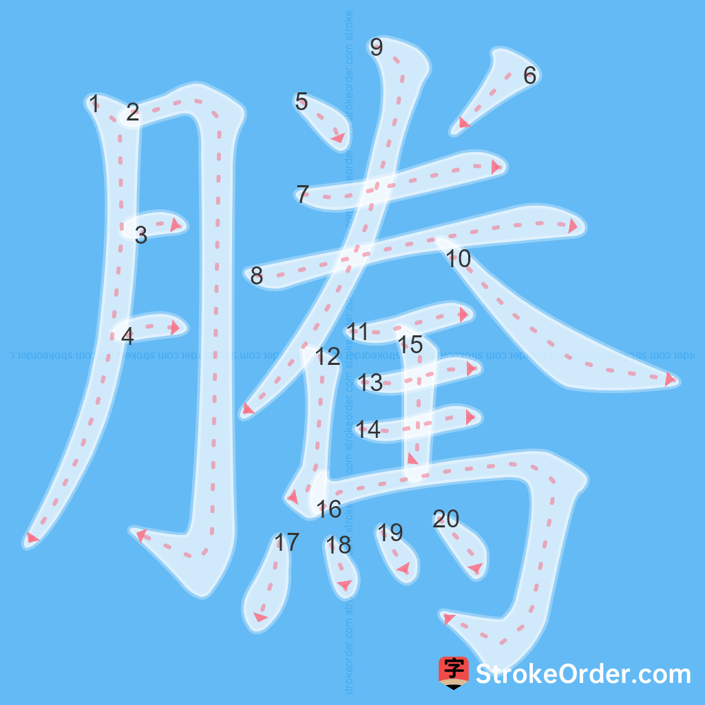 Standard stroke order for the Chinese character 騰