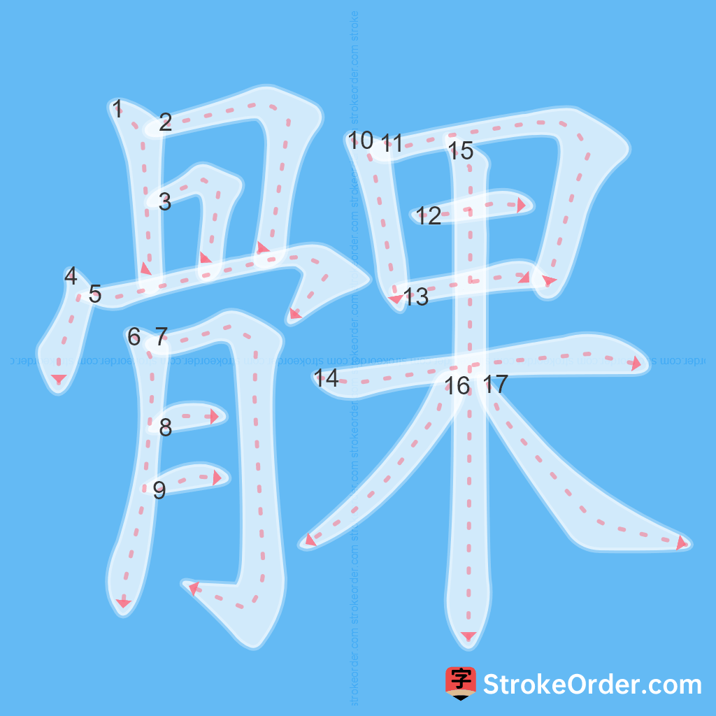 Standard stroke order for the Chinese character 髁