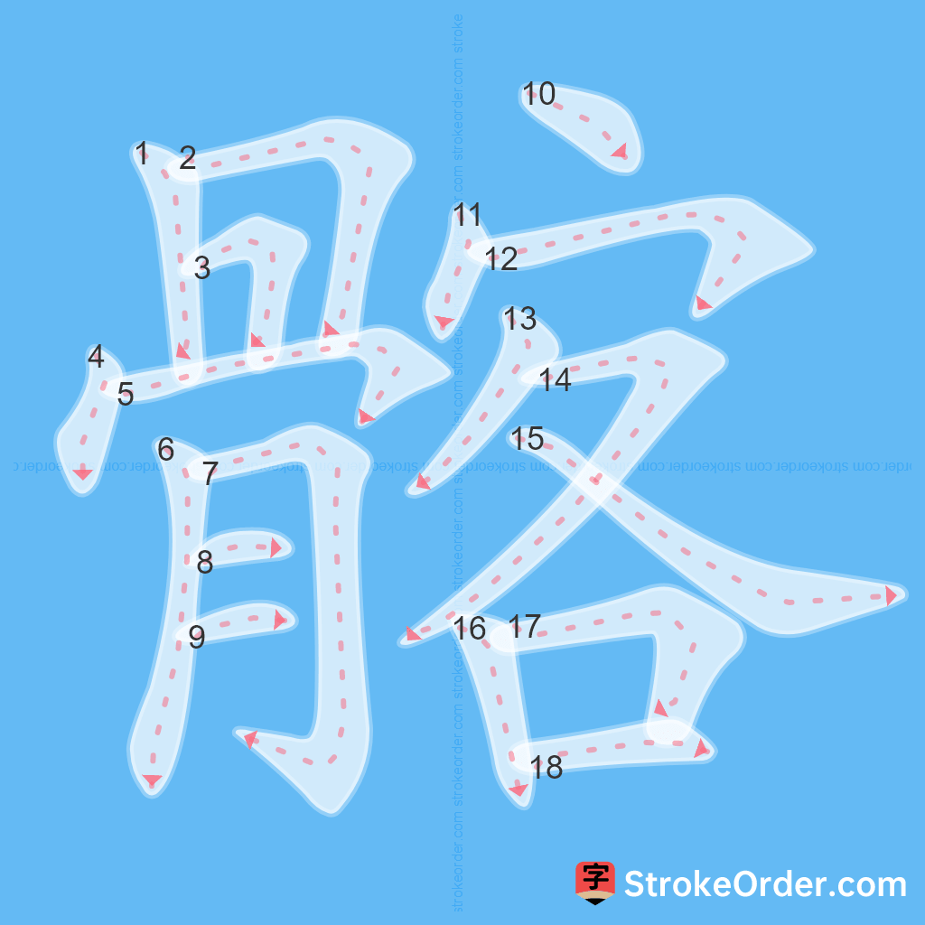 Standard stroke order for the Chinese character 髂