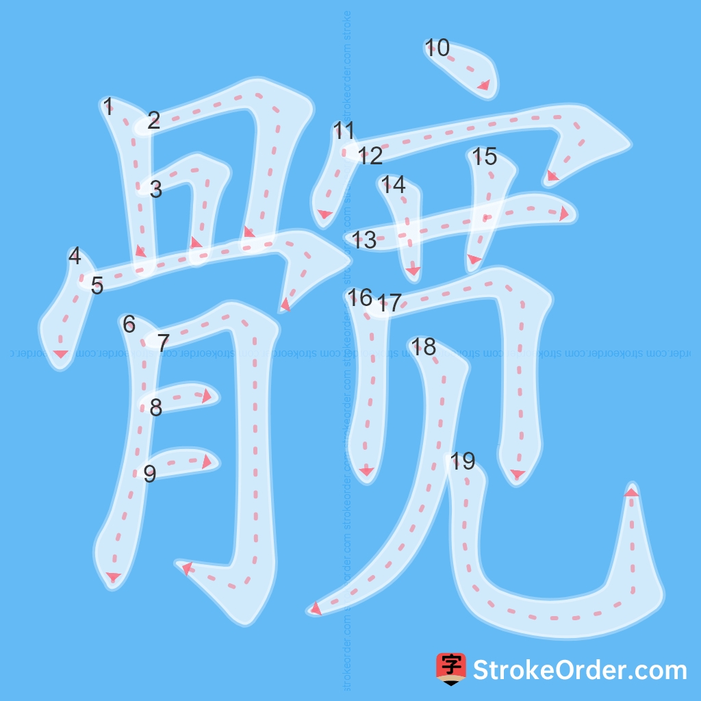 Standard stroke order for the Chinese character 髋