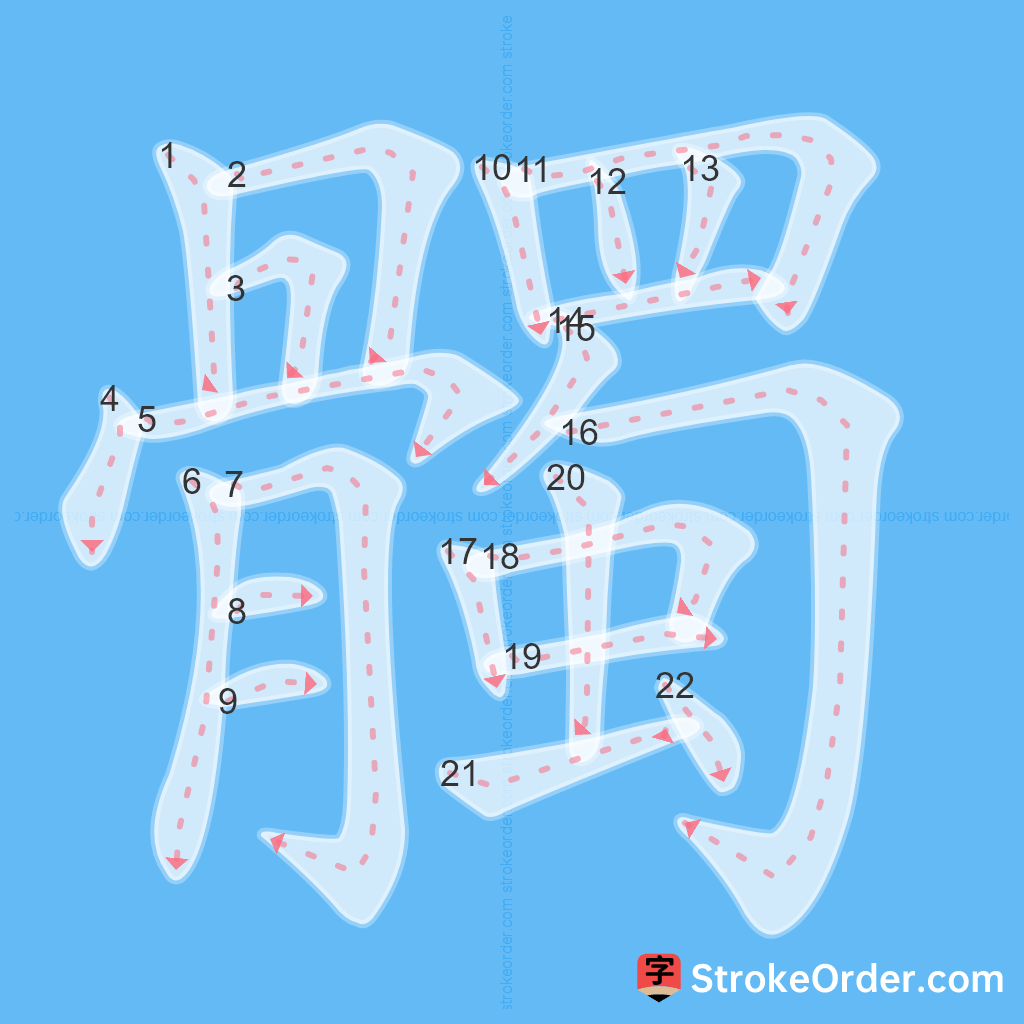 Standard stroke order for the Chinese character 髑