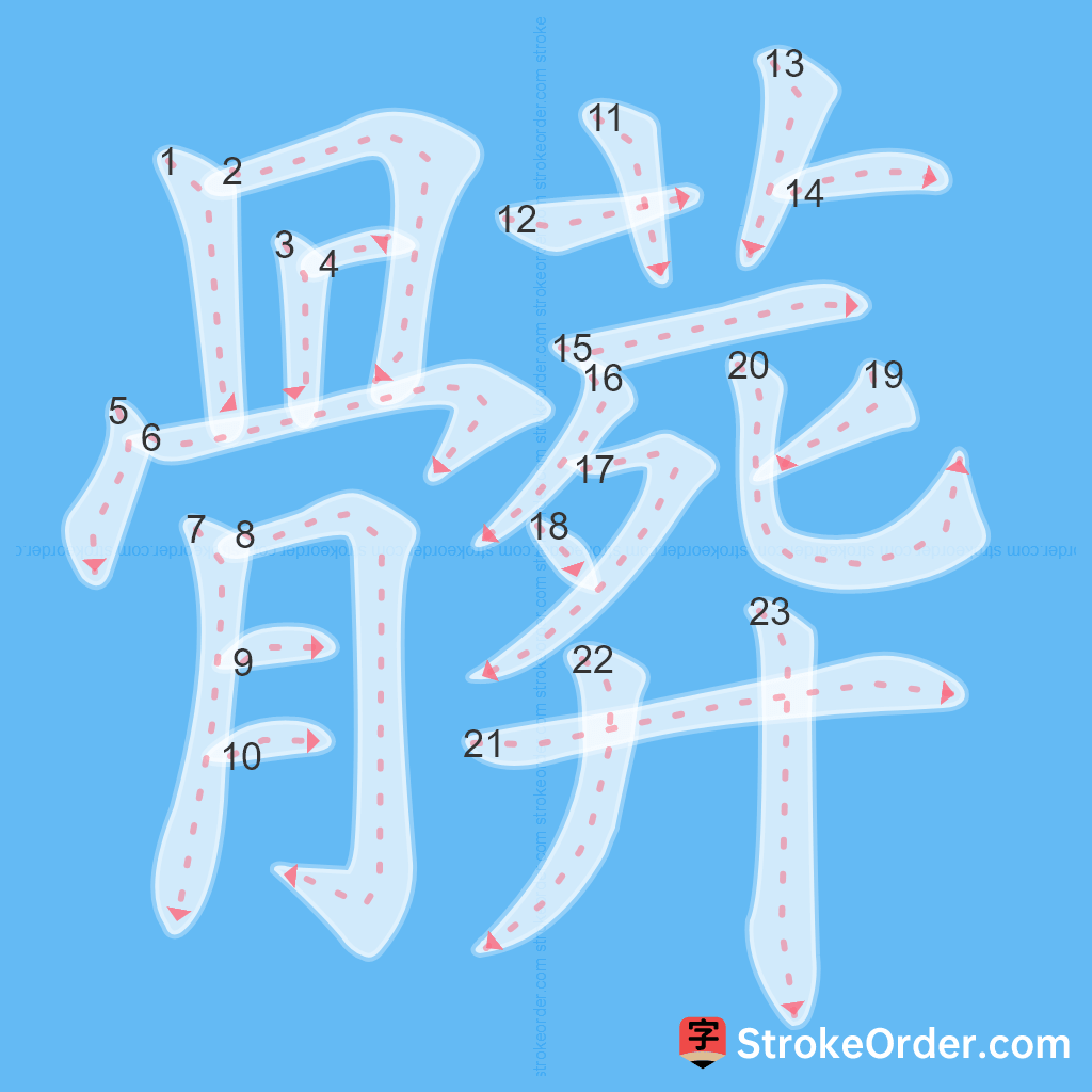 Standard stroke order for the Chinese character 髒