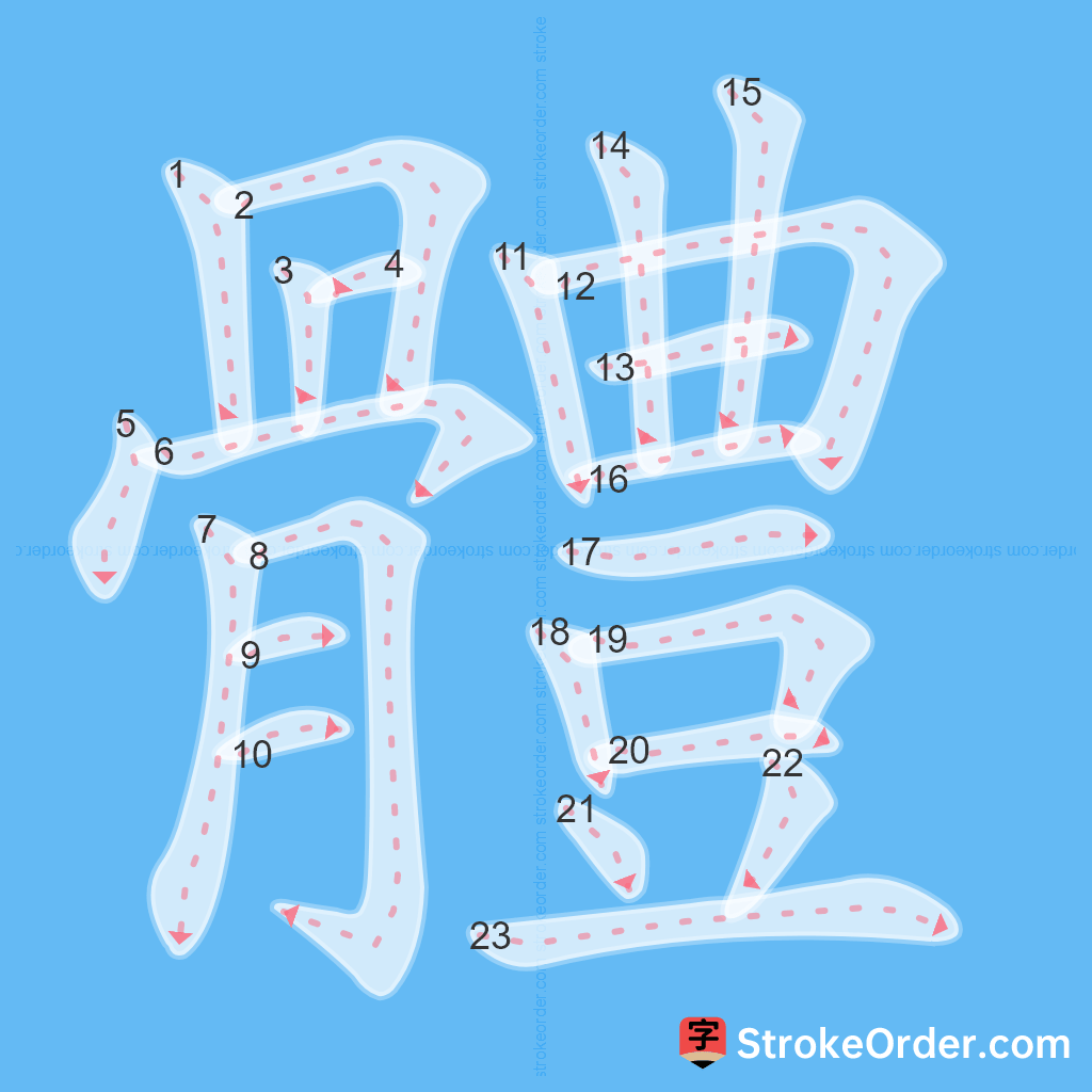 Standard stroke order for the Chinese character 體