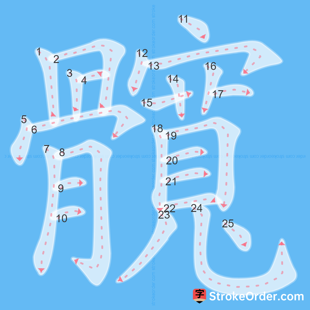 Standard stroke order for the Chinese character 髖