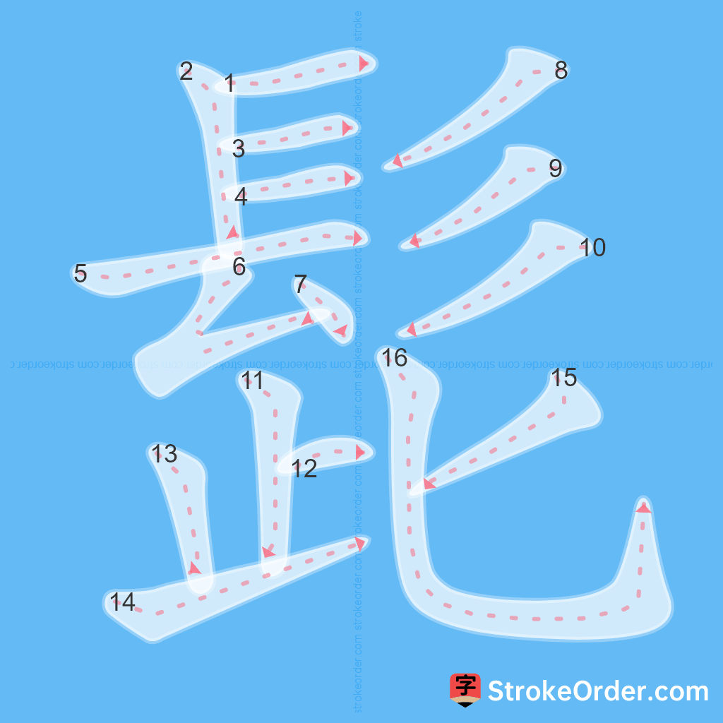 Standard stroke order for the Chinese character 髭