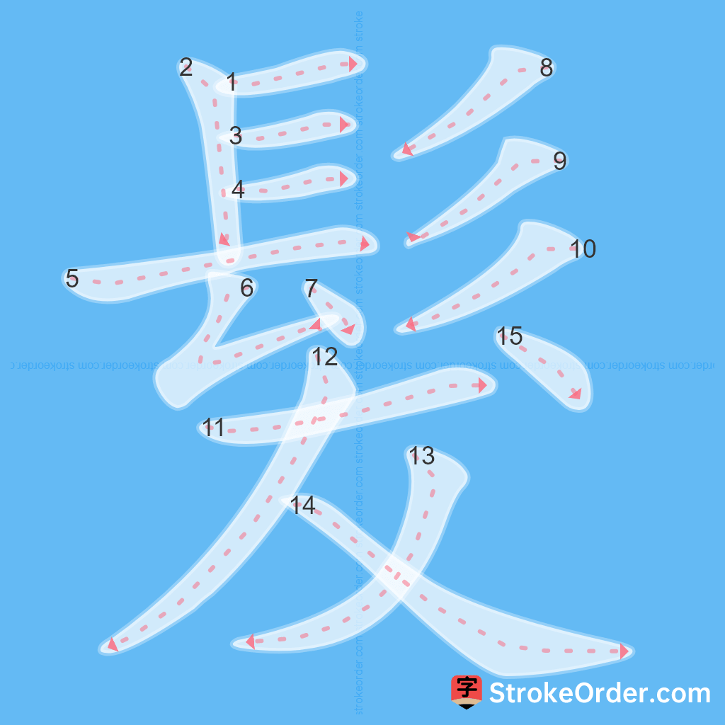 Standard stroke order for the Chinese character 髮