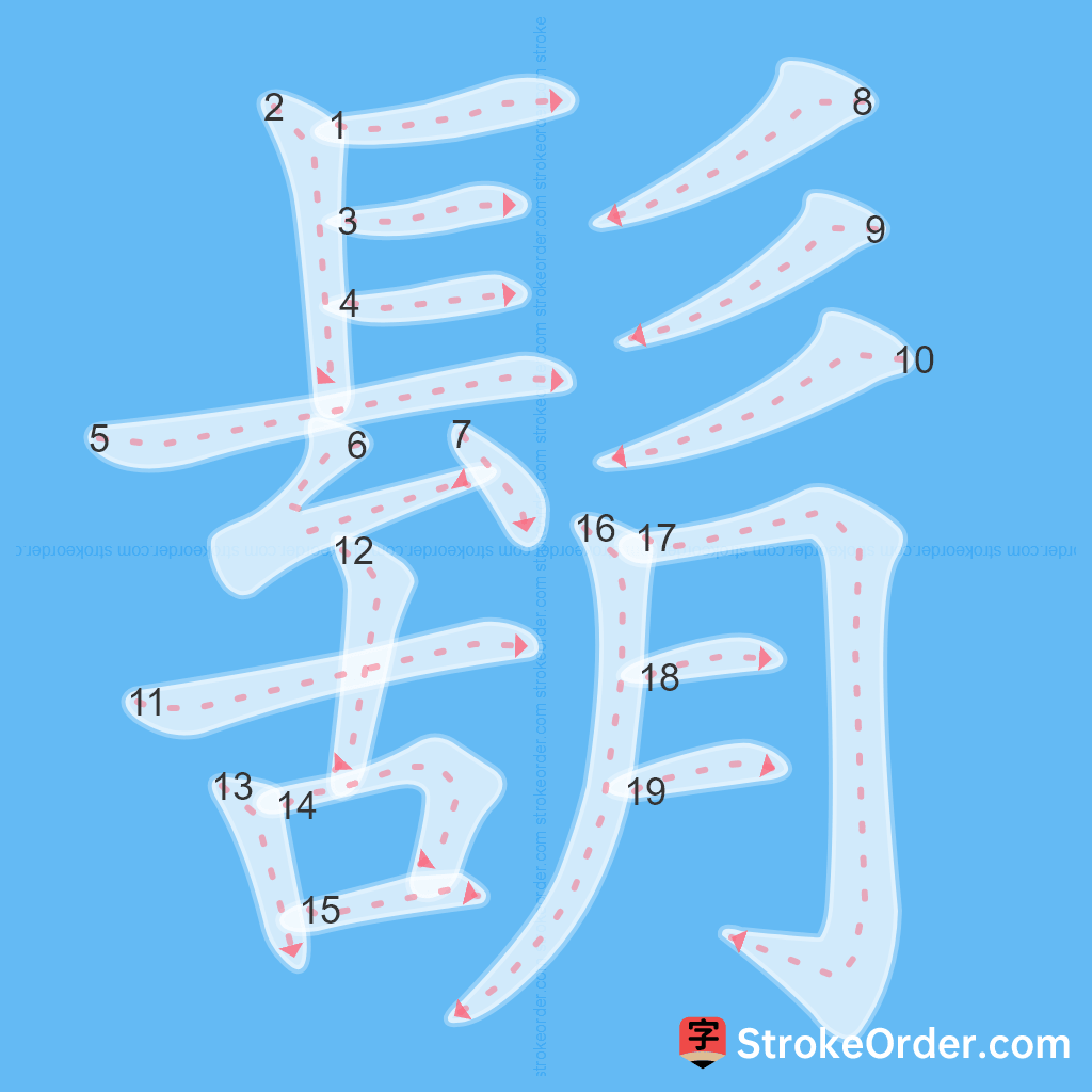 Standard stroke order for the Chinese character 鬍