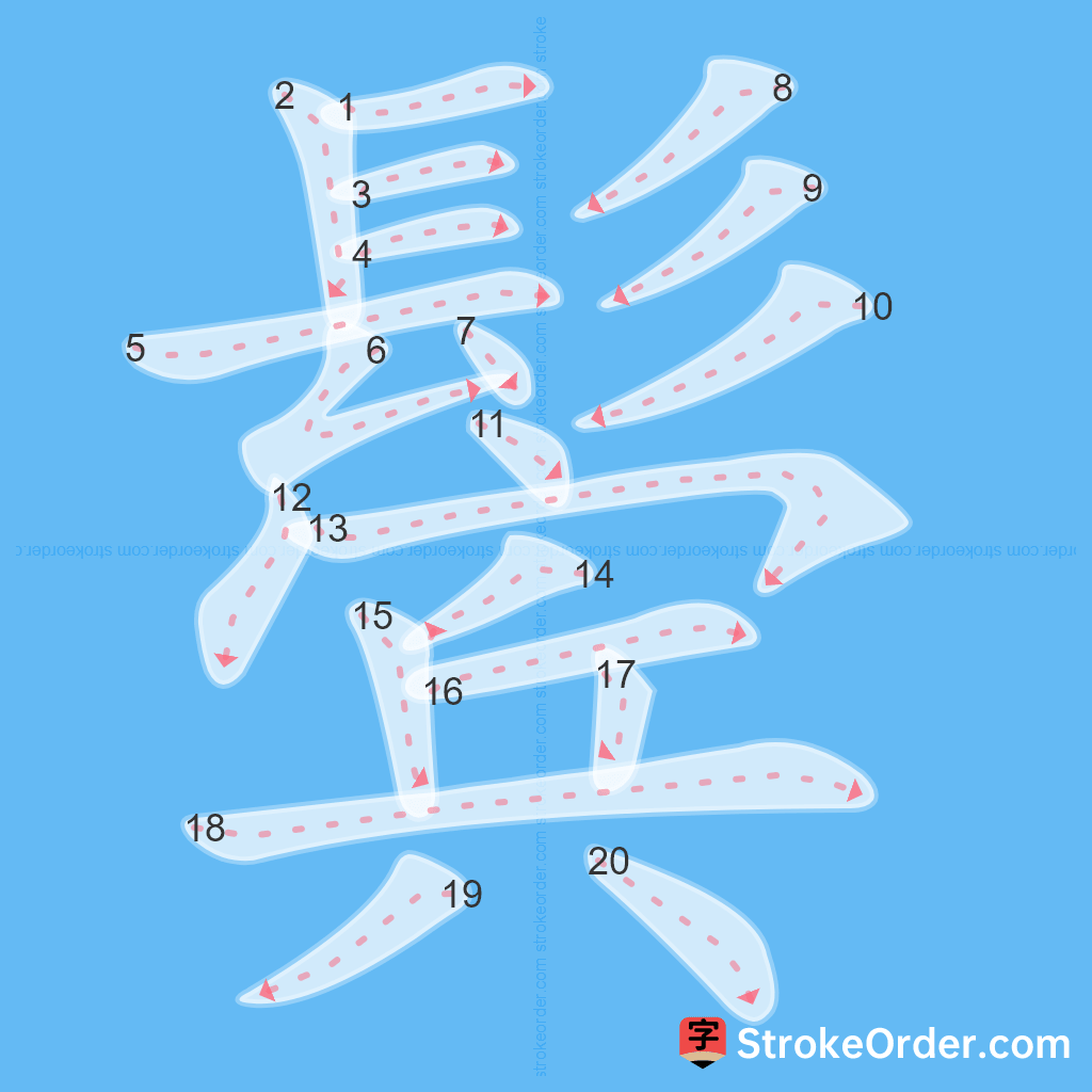 Standard stroke order for the Chinese character 鬓