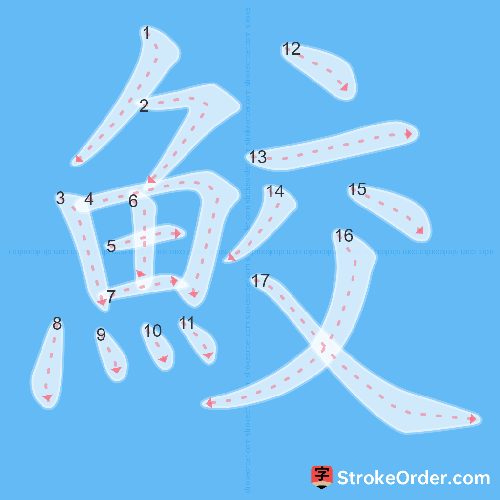 Standard stroke order for the Chinese character 鮫