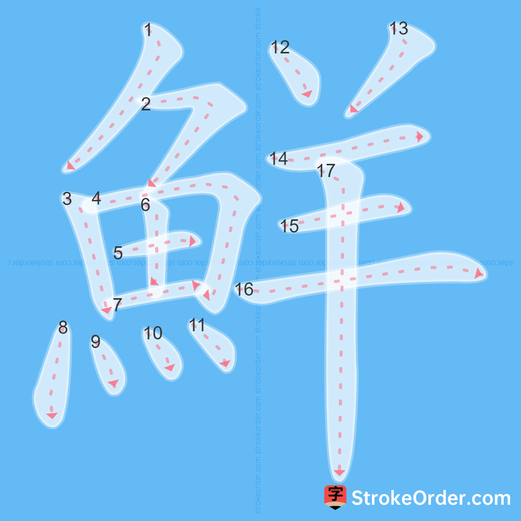 Standard stroke order for the Chinese character 鮮
