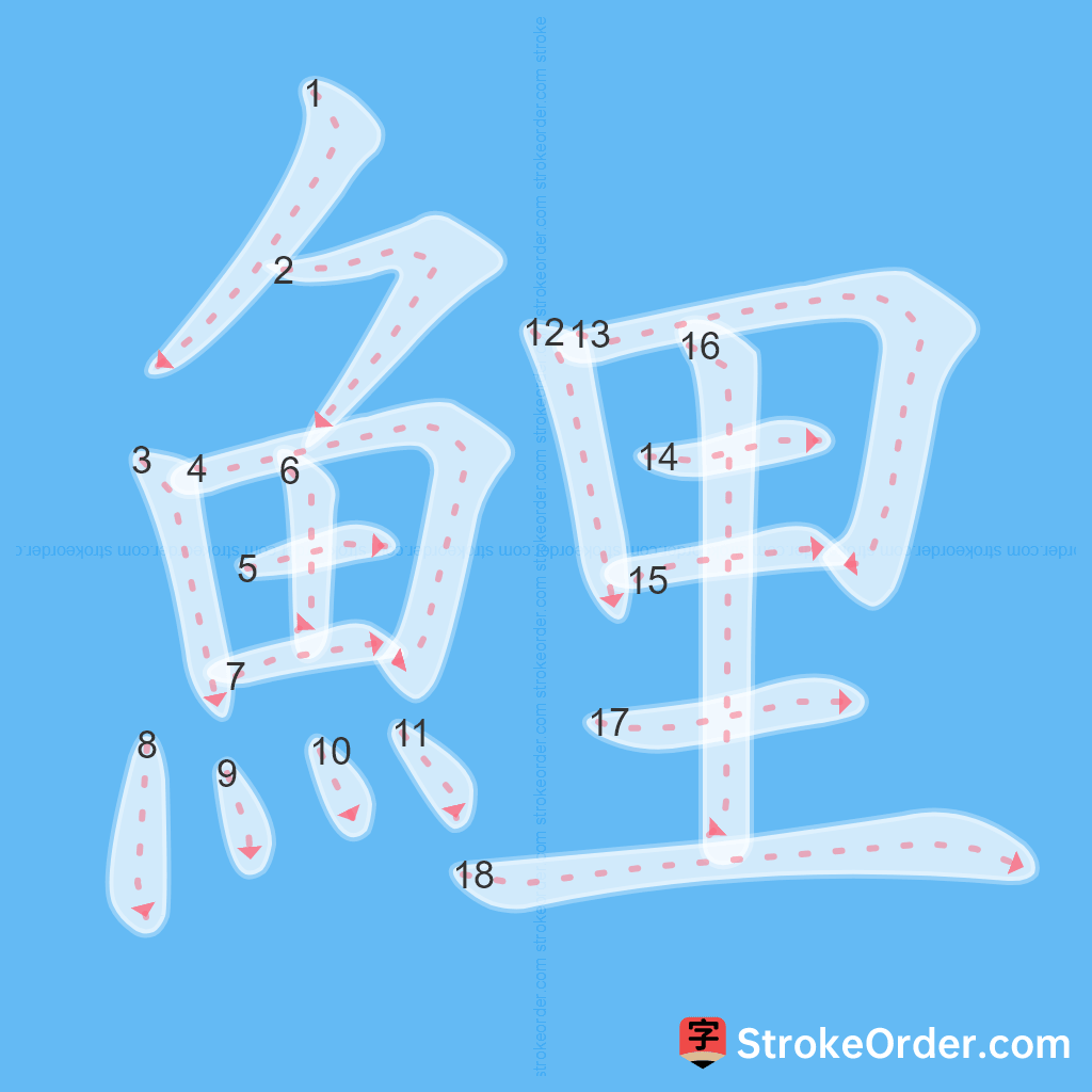 Standard stroke order for the Chinese character 鯉