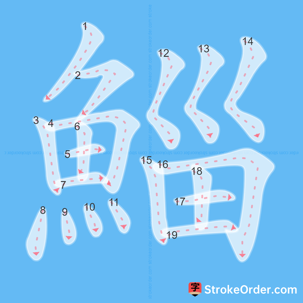 Standard stroke order for the Chinese character 鯔