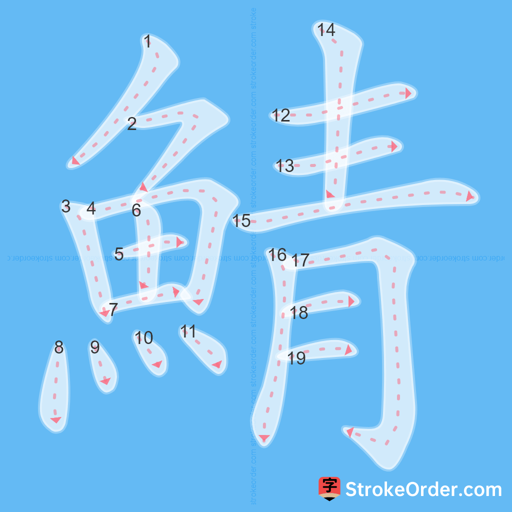Standard stroke order for the Chinese character 鯖