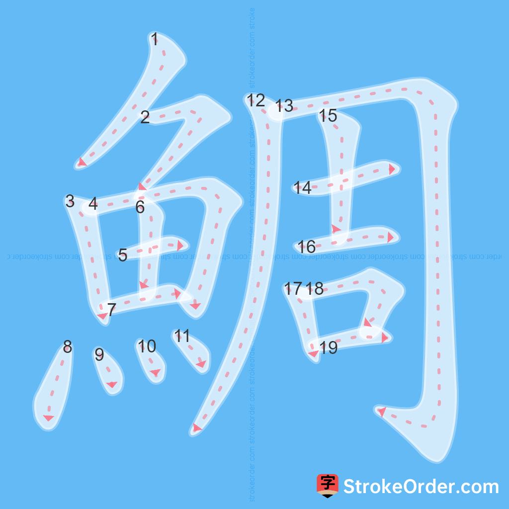Standard stroke order for the Chinese character 鯛